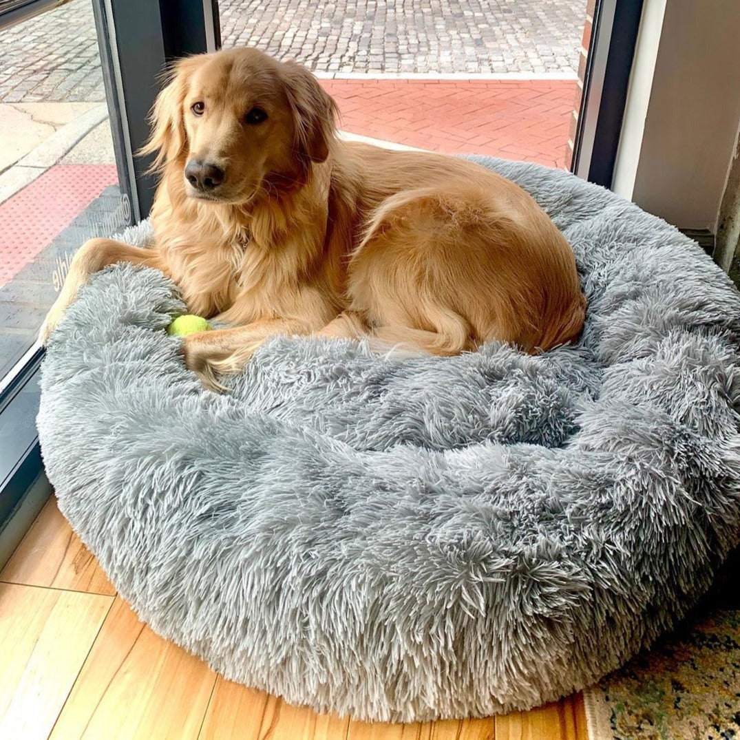 An XL-sized Ash Absolut SOothing Bed by HappinessPaws™, providing a spacious 100 by 100 centimeter bed for larger breeds