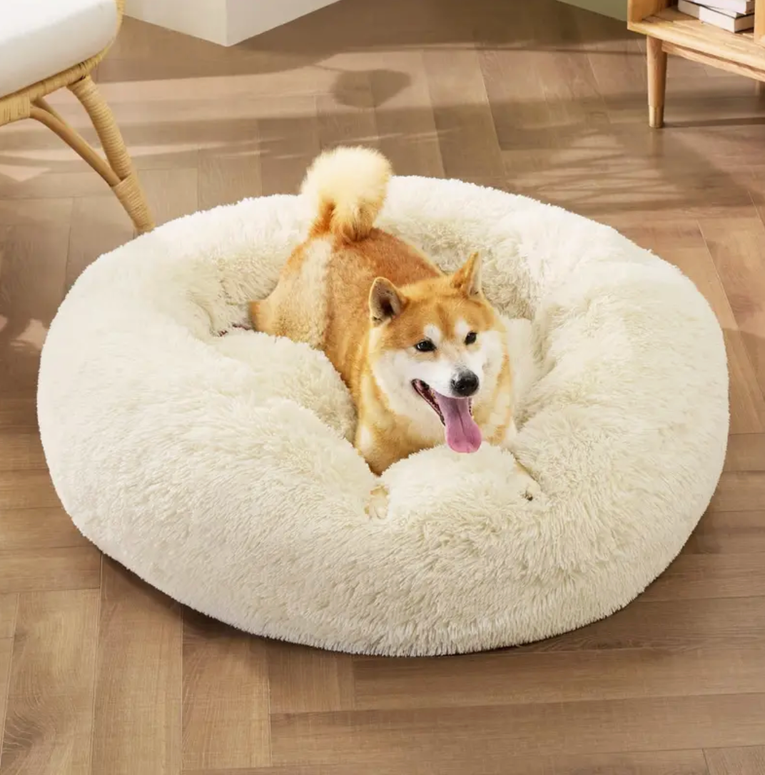 An L-sized Beige Donut Bed by HappinessPaws™, providing a comfortable 60 cm diameter sleeping area.