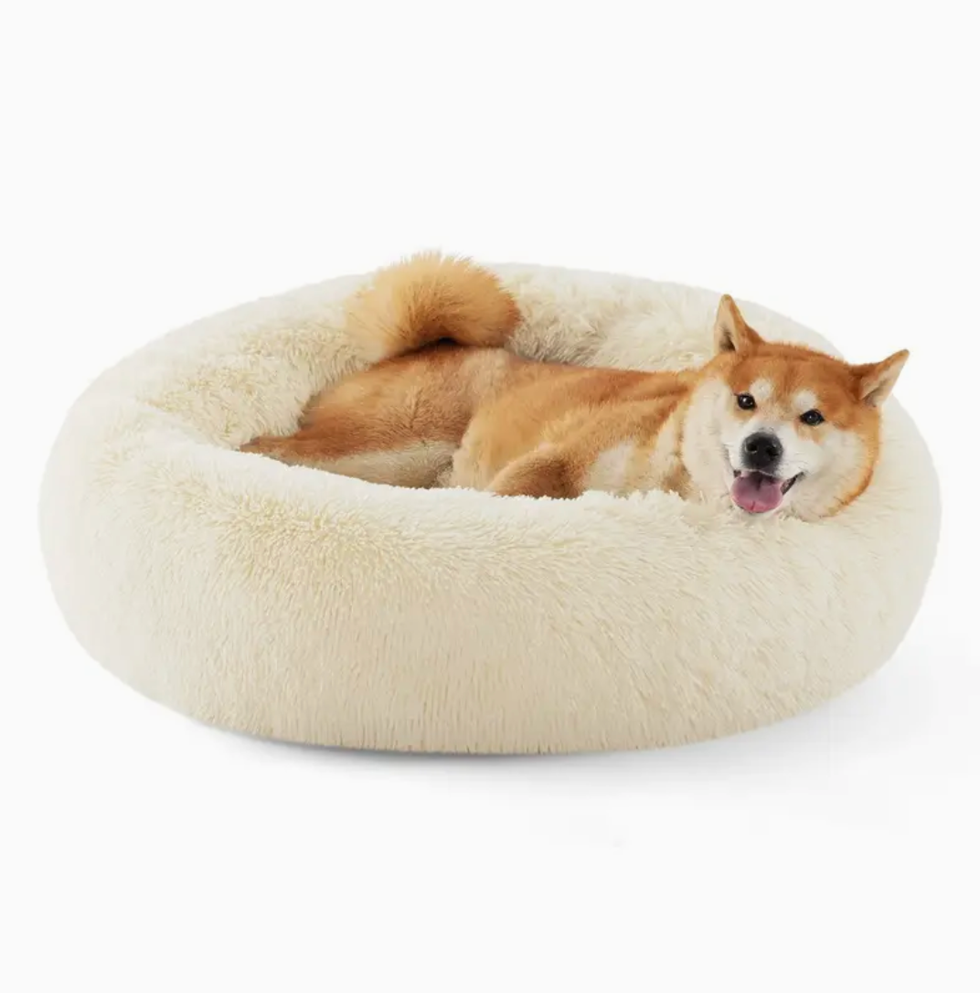 An XL-sized Beige Donut Bed by HappinessPaws™, offering a spacious 70 cm diameter for medium-sized pets