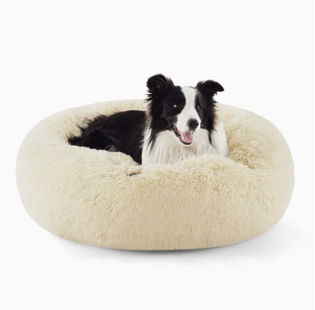 A 2XL-sized Beige Donut Bed by HappinessPaws™, providing an ample 80 cm diameter for larger breeds."