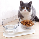 The Elevated Cat Double Bowl by HappinessPaws™, providing ergonomic dining for your feline friend.