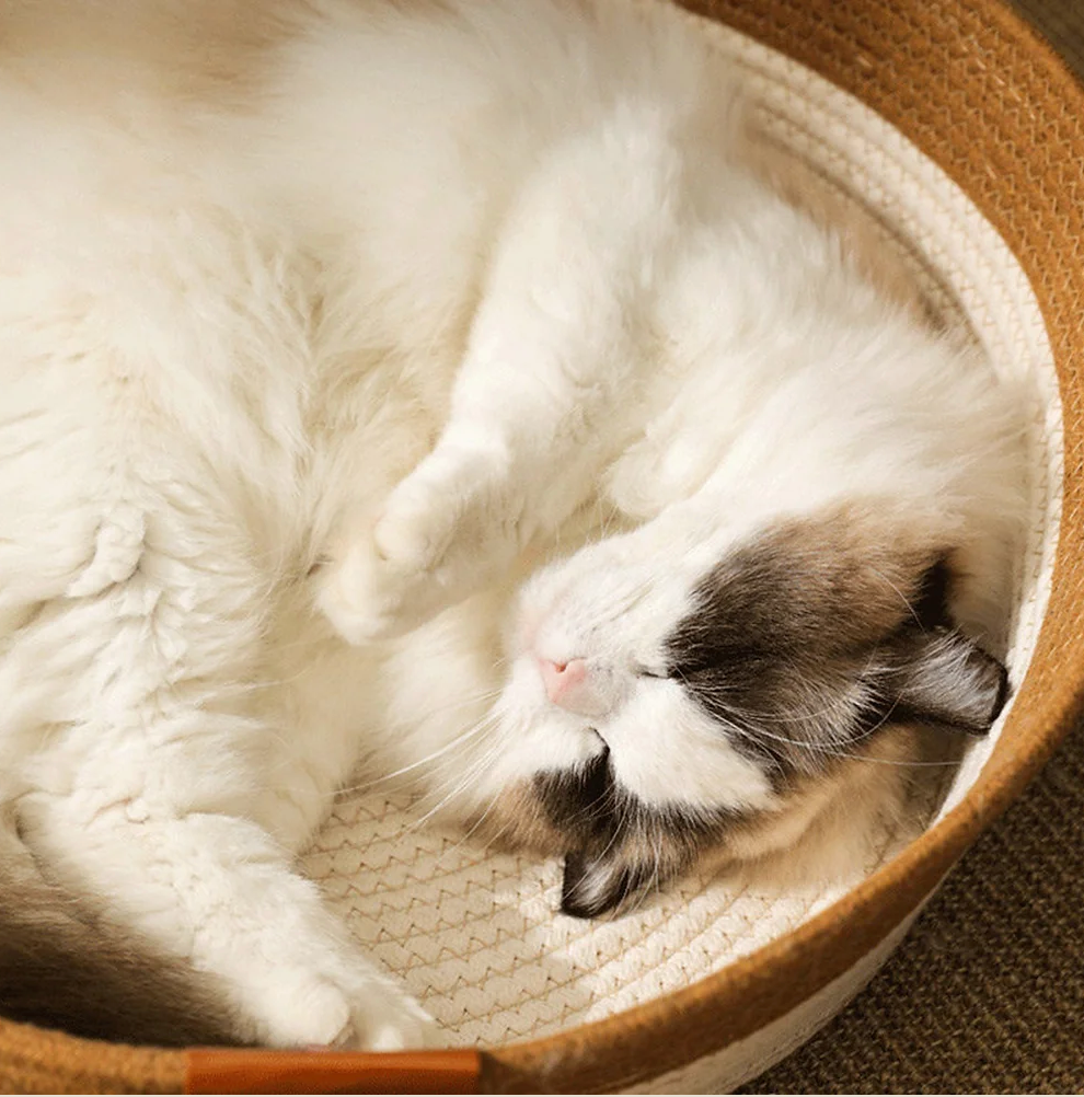 hic Osier Cat Bed by HappinessPaws™ - Designed for Ultimate Catnap Comfort