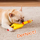 Screaming Chicken Dog Toy: Watch your dog's delight as they play with this unique toy.