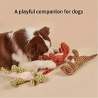 Tough and Reliable Dino Dog Toys: Made to endure rough play and ensure long-lasting fun.