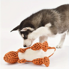 Tough Dino Dog Toys: Perfect for interactive play and bonding moments with your pet.