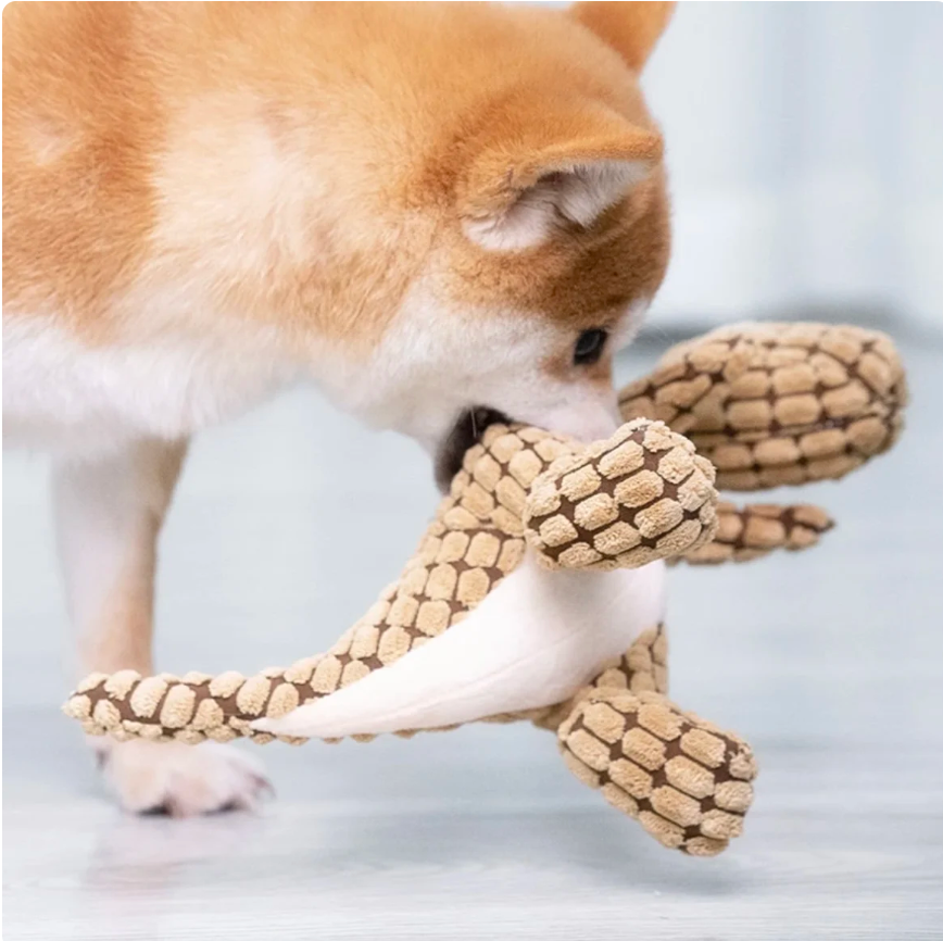 HappinessPaws™ Dino Dog Toys: Made from strong materials to withstand even the toughest chewers.