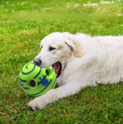 Enhance playtime with the Glow Ball by HappinessPaws™, a versatile toy that is suitable for dogs of all sizes and breeds