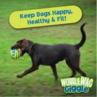 The HappinessPaws™ Glow Ball, designed to satisfy your dog's natural instinct to chase and retrieve.