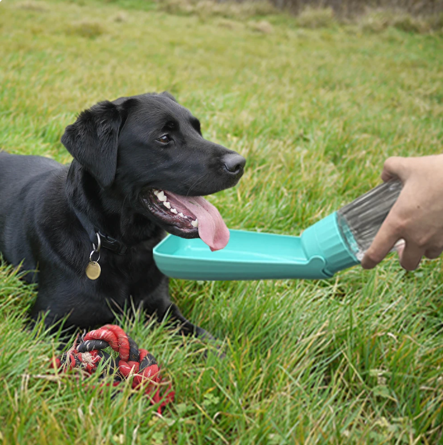 Pet Water Bottle: Foldable 500ml for Outdoor Use