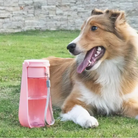 Pet Water Bottle for On-the-Go: Convenient solution for providing water to your pet during outdoor escapades