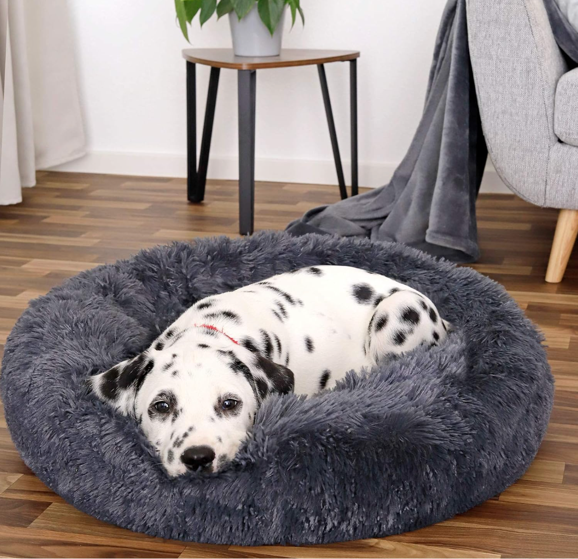 A luxurious L-sized Dark Grey Donut Bed by HappinessPaws™, providing a 60 cm diameter sleeping space."