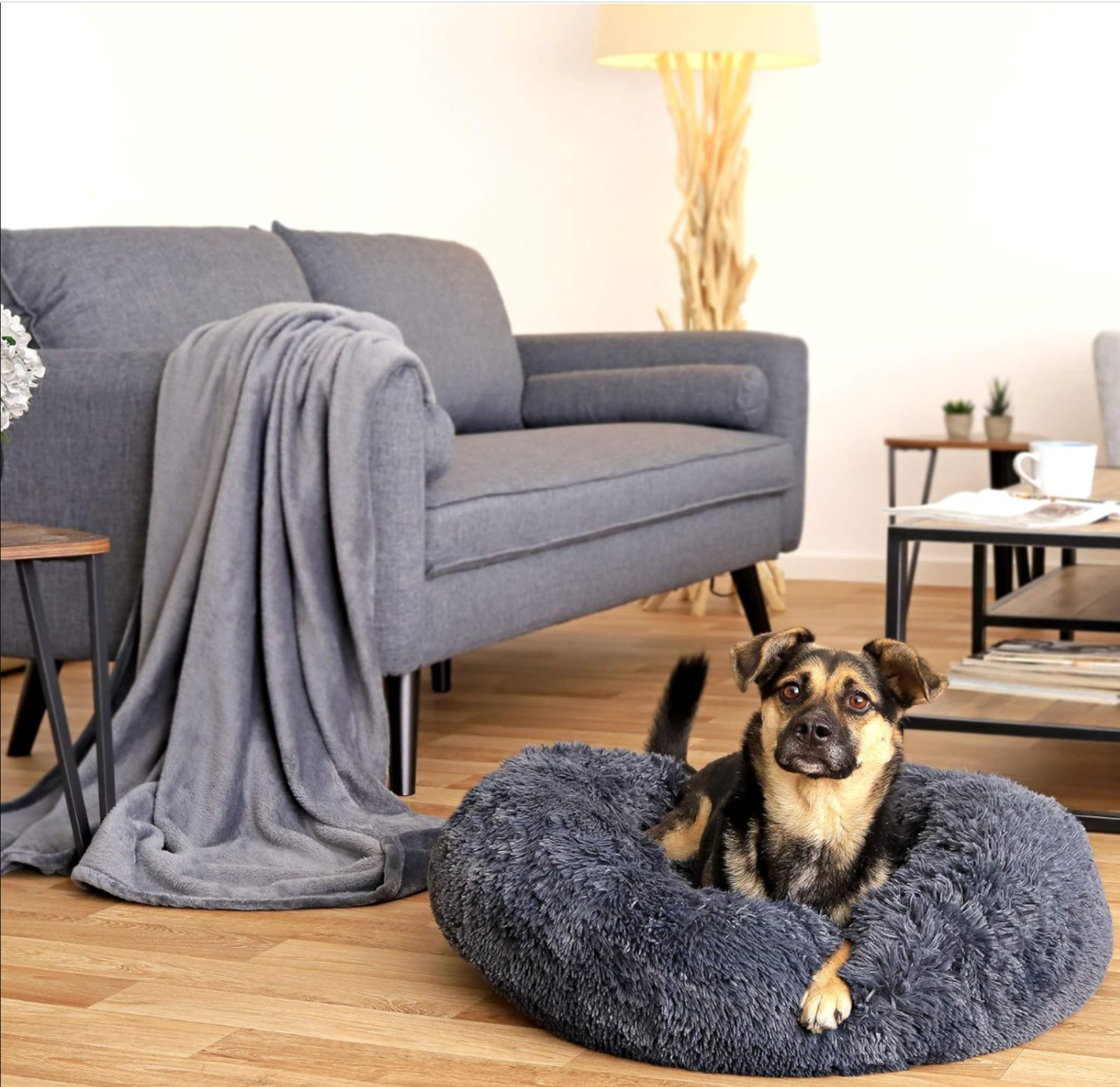 An XL-sized Dark Grey Donut Bed by HappinessPaws™, offering a spacious 70 cm diameter for larger pets