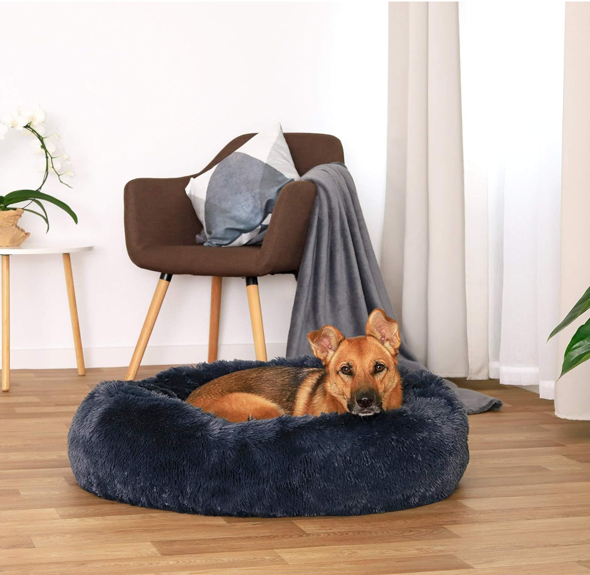 A 2XL-sized Dark Grey Donut Bed by HappinessPaws™, providing an ample 80 cm diameter for extra-large breeds