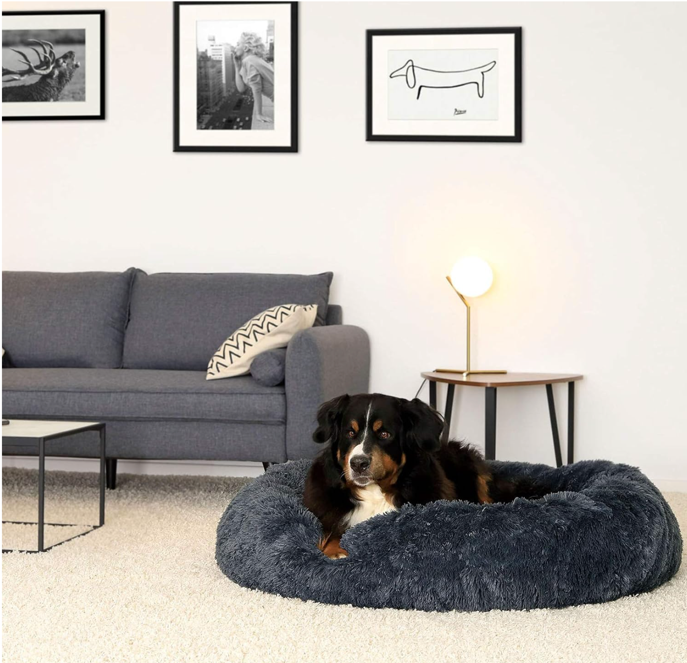 A 5XL-sized Dark Grey Donut Bed by HappinessPaws™, providing a massive 120 cm diameter for maximum comfort