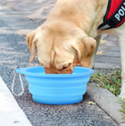 Compact Collapsible Dog Bowl HappinessPaws™