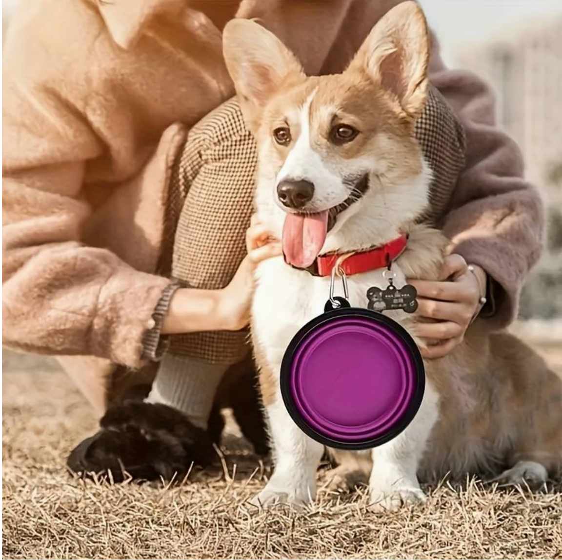 Ensure your furry friend stays hydrated and nourished with the practical and portable Compact Collapsible Dog Bowl by HappinessPaws™