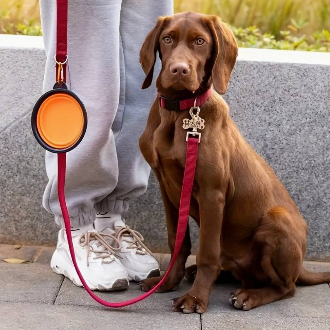 The Collapsible Dog Bowl by HappinessPaws™, designed for travel and outdoor adventures, collapses for easy storage