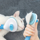 Blue Cat Self-Cleaning Brush HappinessPaws™ Cat testing