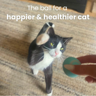 Interactive Cat Toy 360° HappinessPaws™ The ball for a happier and healthier cat