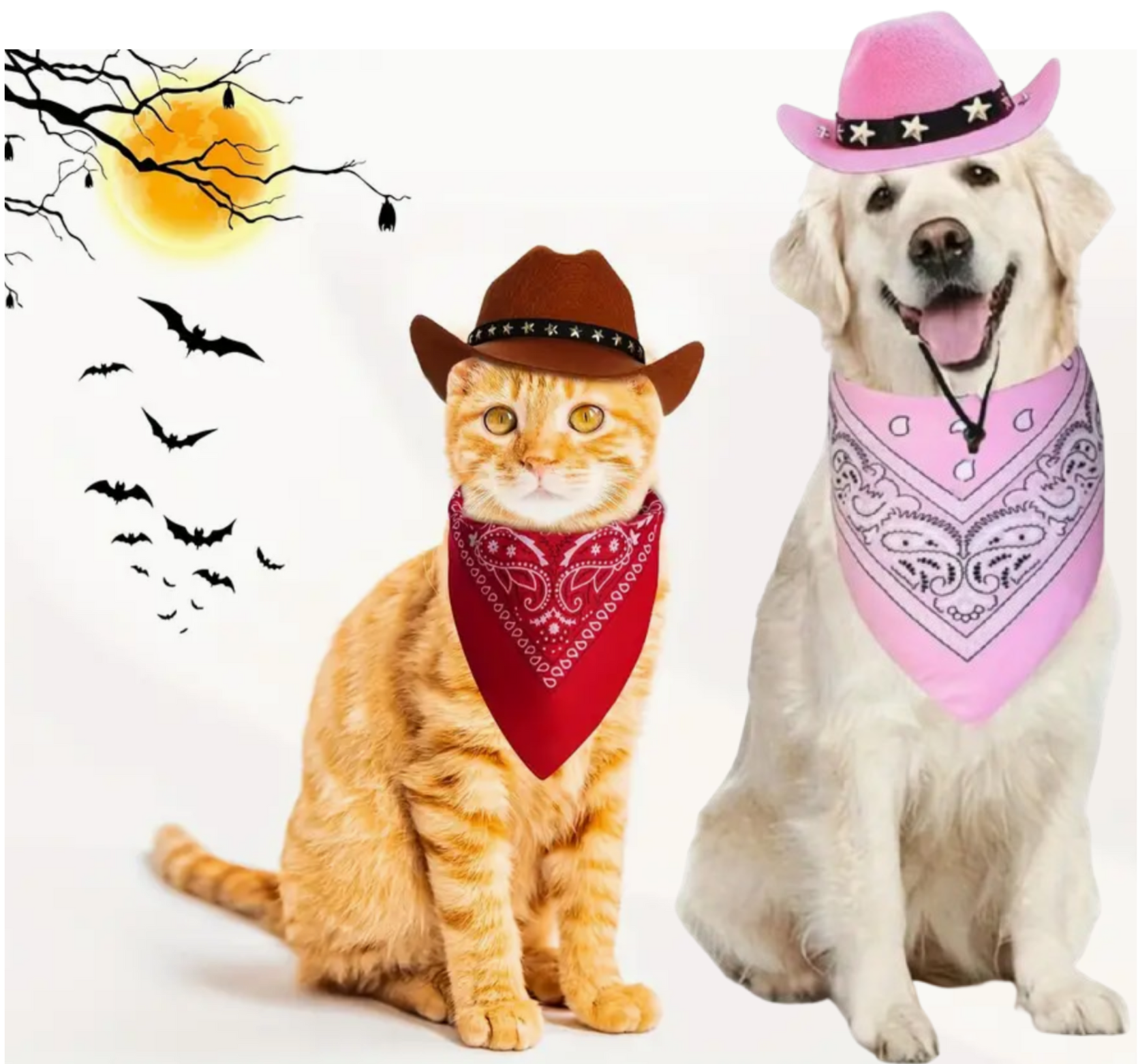 Pets cowboy hat