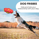 Dog frisbee : Make fetch more exciting with The Flying Saucer Ball, providing mental and physical stimulation for your furry friend.