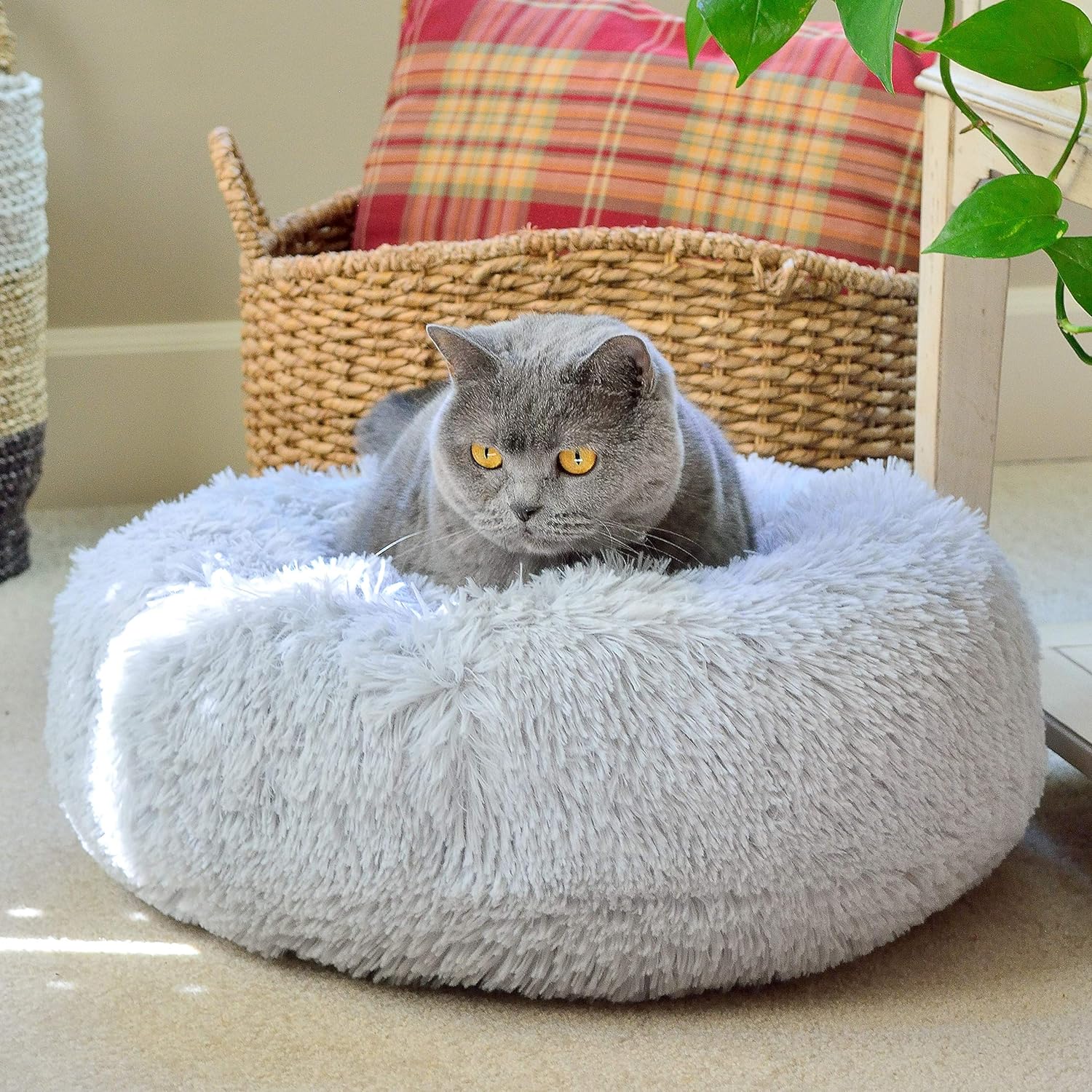 Donut Cat Bed HappinessPaws™