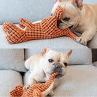 HappinessPaws™ Durable Dino Toys: Designed to be your pet's favorite play companion