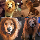 Lion Dog Costume - HappinessPaws