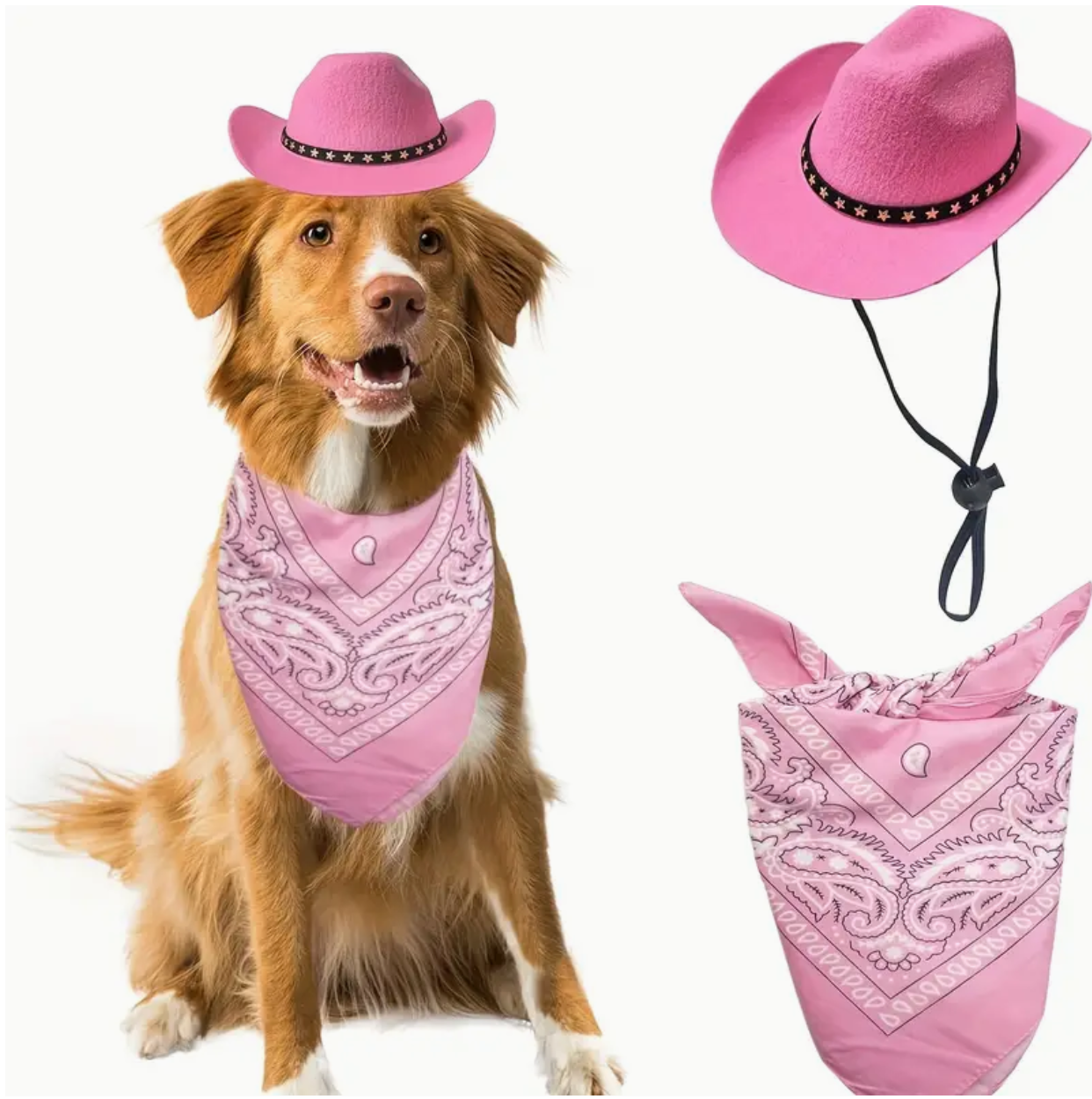 Pets cowboy hat