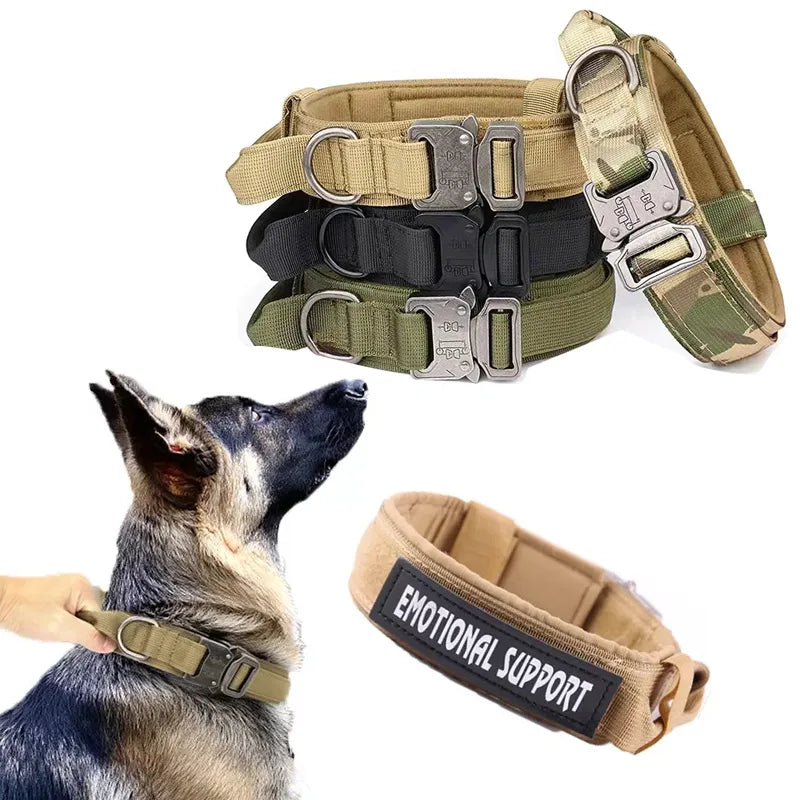 Rugged Tactical Dog Collar: Built to withstand the demands of police and service dog training