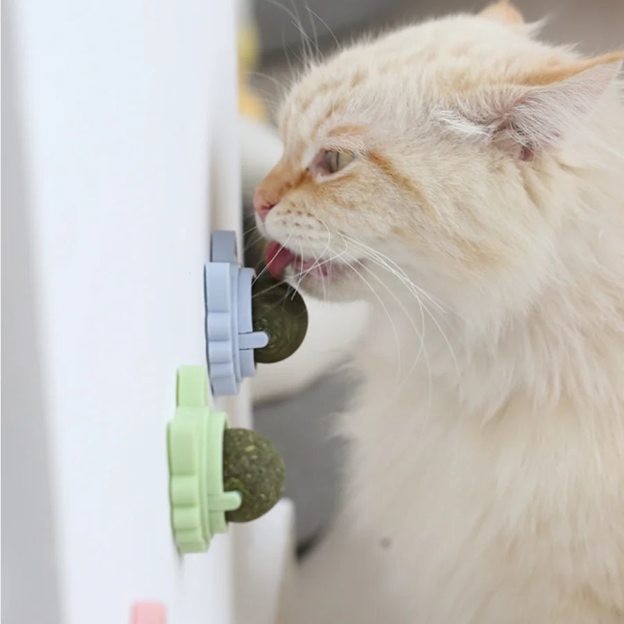 Catnip licking Ball For Cats HappinessPaws