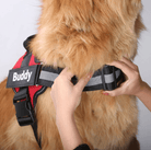 Personalised No Pull Dog Harness HappinessPaws™ - Close-up Detail closing