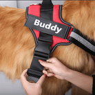 Personalised No Pull Dog Harness HappinessPaws™ - Close-up Detail