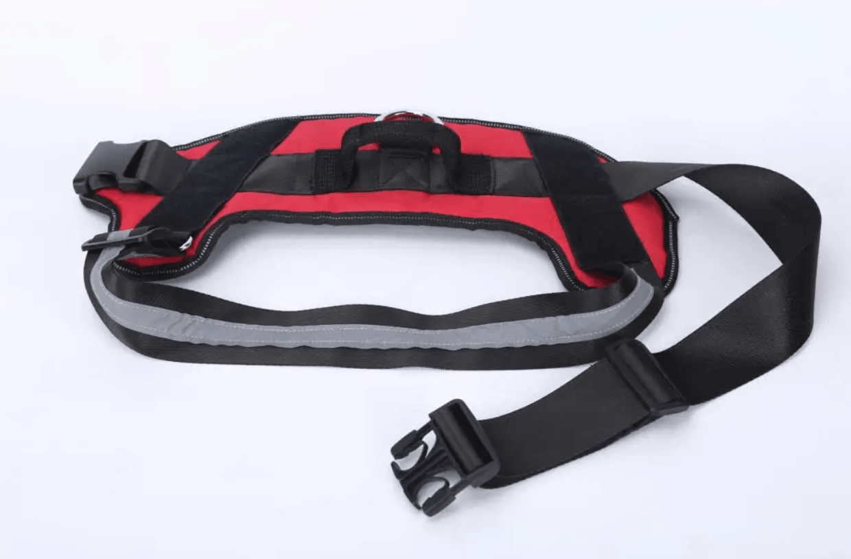 Personalised No Pull Dog Harness HappinessPaws™ - Adjustable Straps Detail