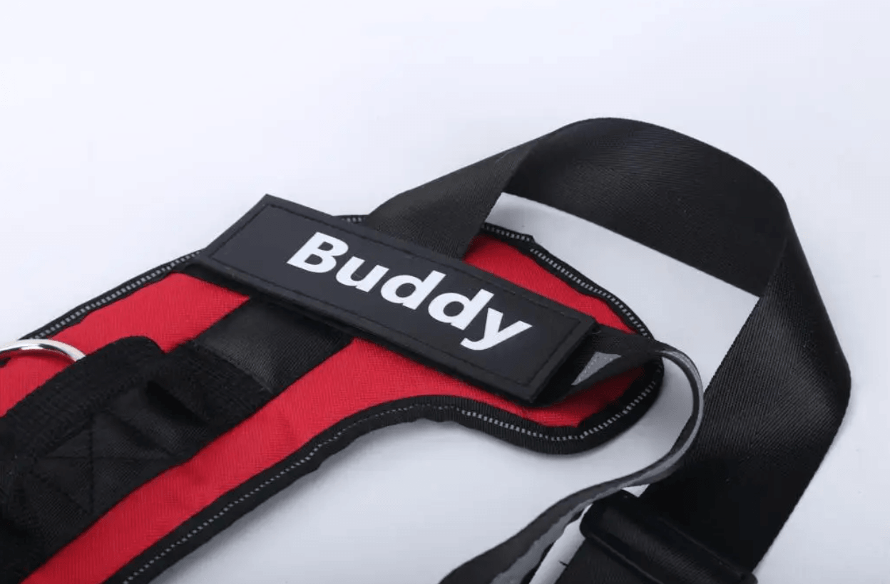 Personalised No Pull Dog Harness HappinessPaws™ - Name Detail