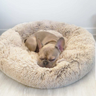 An XS-sized Taupe Absolut Soothing Bed by HappinessPaws™, measuring 50 by 50 centimeters for small pets.