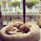 An XL-sized Taupe Absolut Soothing Bed by HappinessPaws™, providing a spacious 100 by 100 centimeter bed for larger breeds.