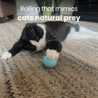 Interactive Cat Toy 360° HappinessPaws™ Rolloing that mimics cats natural prey