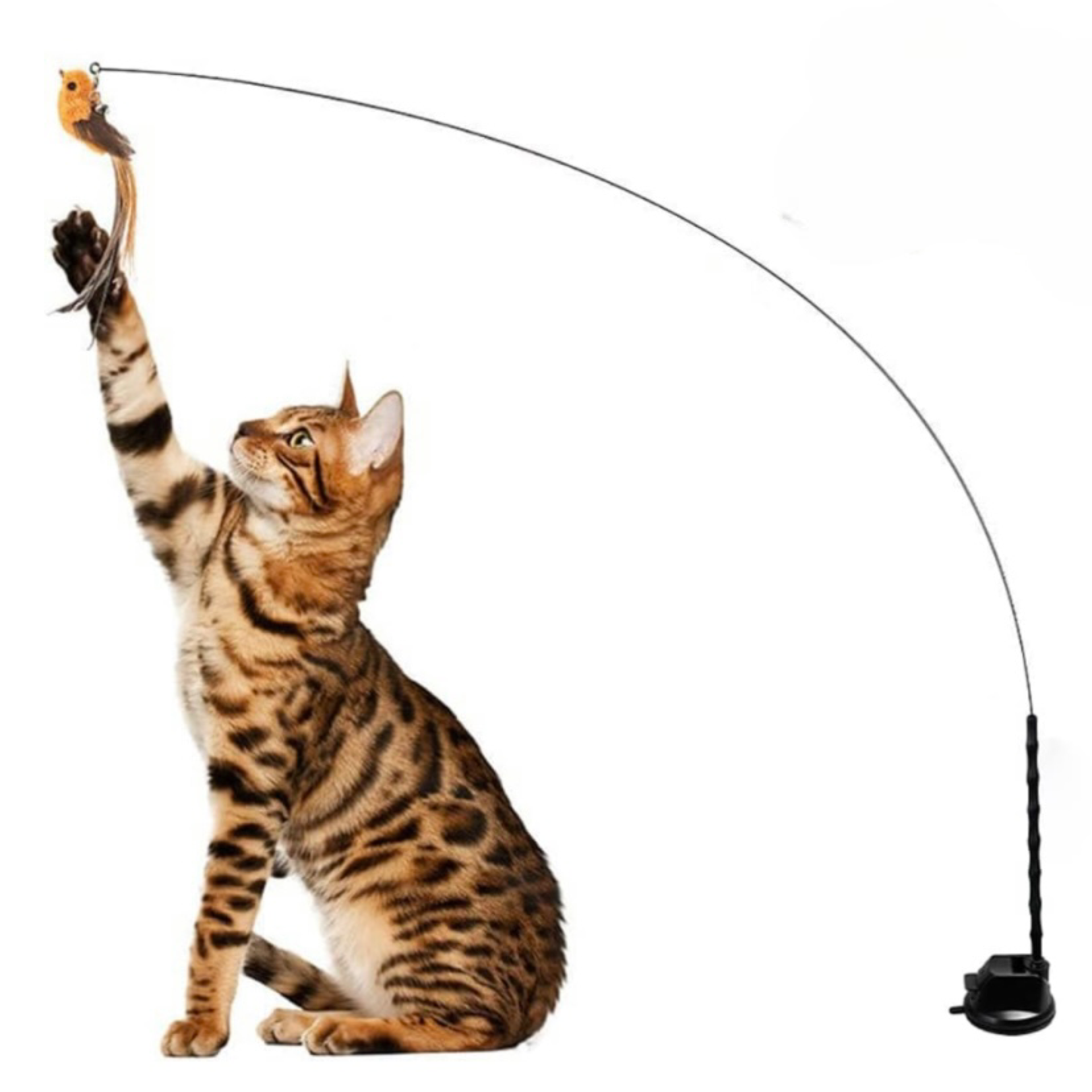 Bengal cat reaching for the Bird Simulation Toy by HappinessPaws™, showcasing interactive and stimulating play.