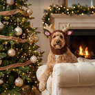 Light brown doodle dog wearing a knitted reindeer hat sitting on a soft couch near a Christmas tree.