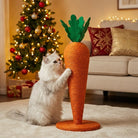 Carrot cat scratcher with cat