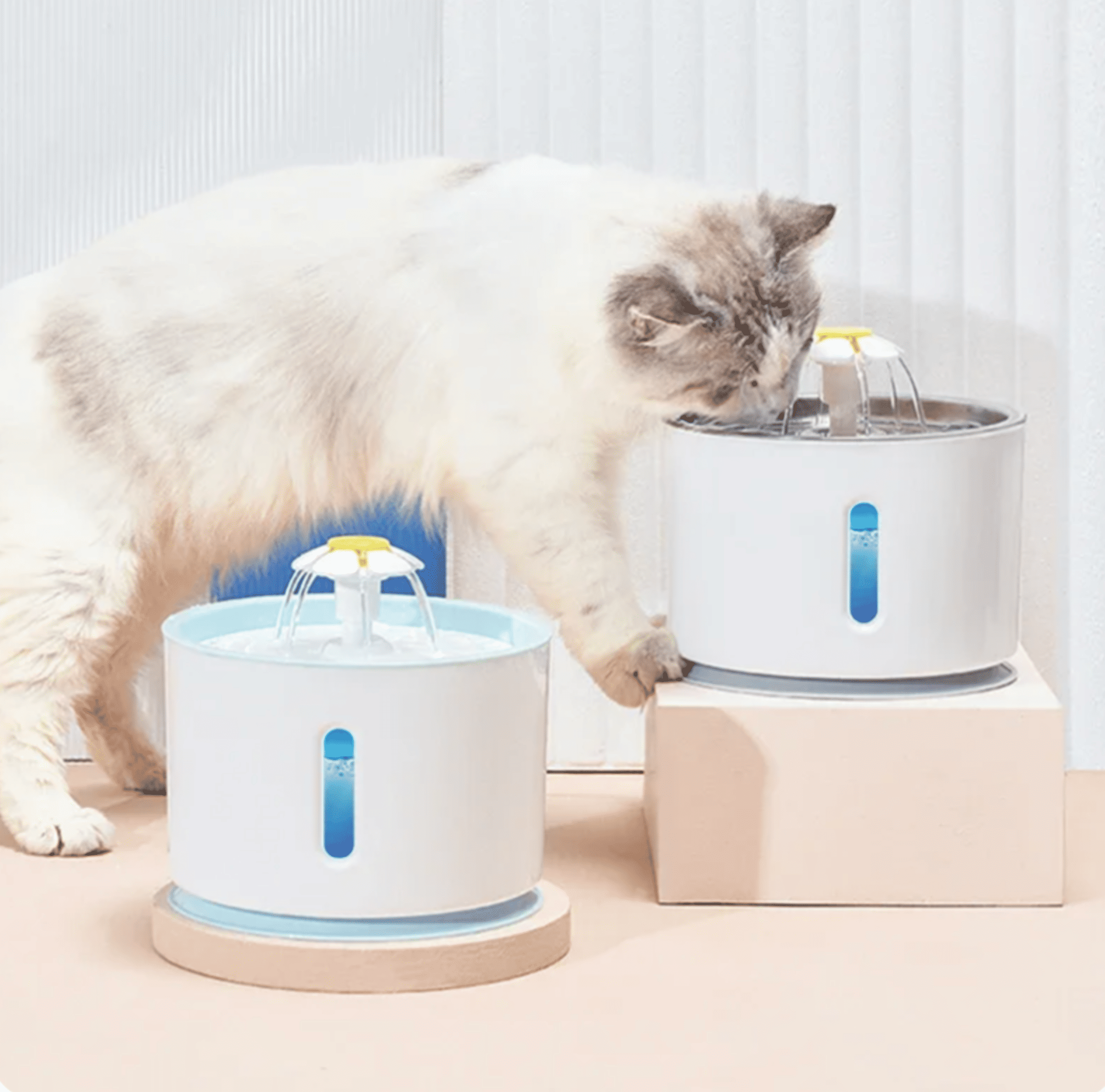 Cat exploring the automatic water dispenser, ideal for keeping pets hydrated