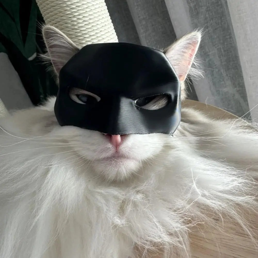 Fluffy white cat wearing the Batman mask, adding a playful superhero vibe.