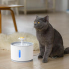 Grey cat drinking from an automatic water dispenser, 2.4L capacity for continuous hydration