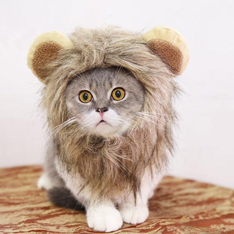 Close-up of a cat wearing a lion costume by HappinessPaws™, showing details of the costume