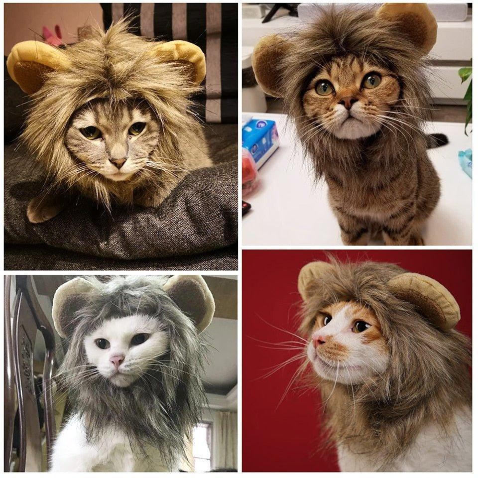 Collage of cats wearing the lion costume by HappinessPaws™, showcasing various adorable poses