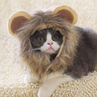 Cat lying down indoors with a lion costume by HappinessPaws™, with a close-up of ear details for comfort