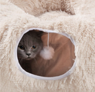 Cats playing in the HappinessPaws™ cat tunnel bed, with one cat peeking through