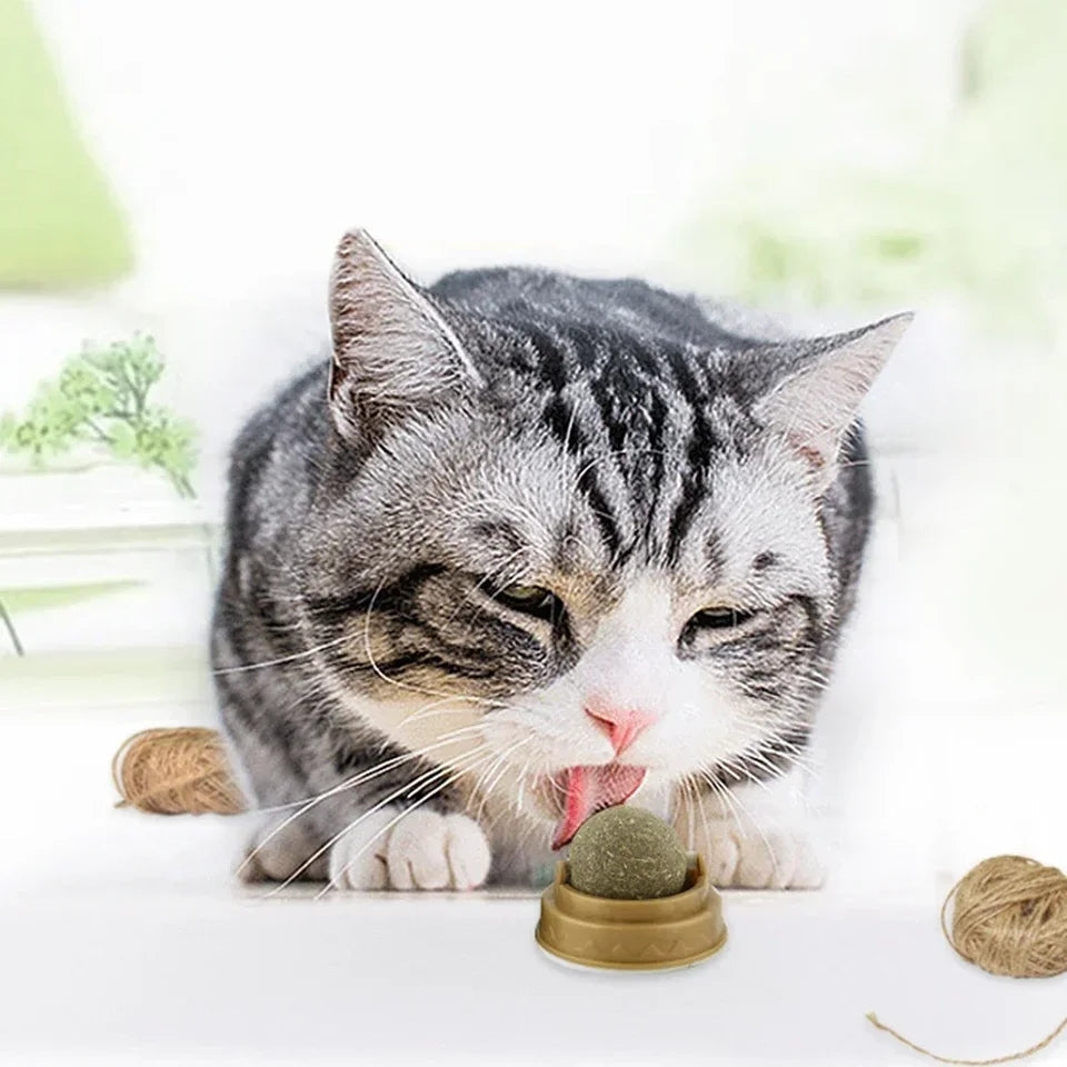 Cat enjoying the Catnip Licking Ball by HappinessPaws™ for a delightful sensory experience.