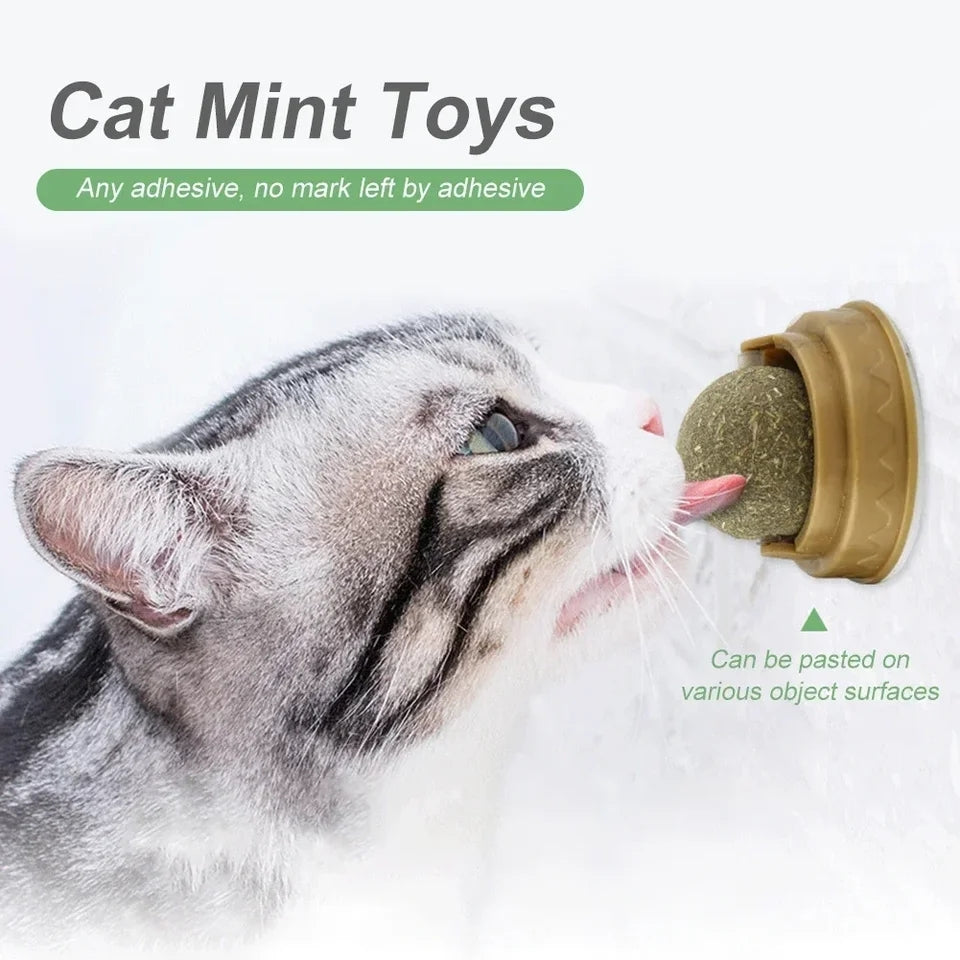 Cat Mint Toys – adhesive, no marks left by adhesive – perfect for playful moments.